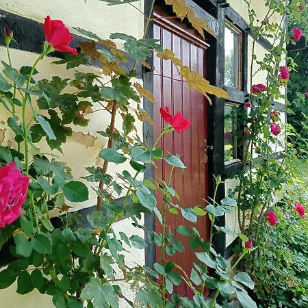 Bnb Het Geluk Van Limburg Мехелен Екстер'єр фото