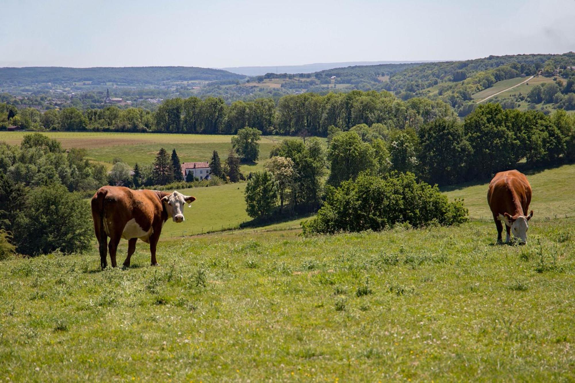 Bnb Het Geluk Van Limburg Мехелен Екстер'єр фото