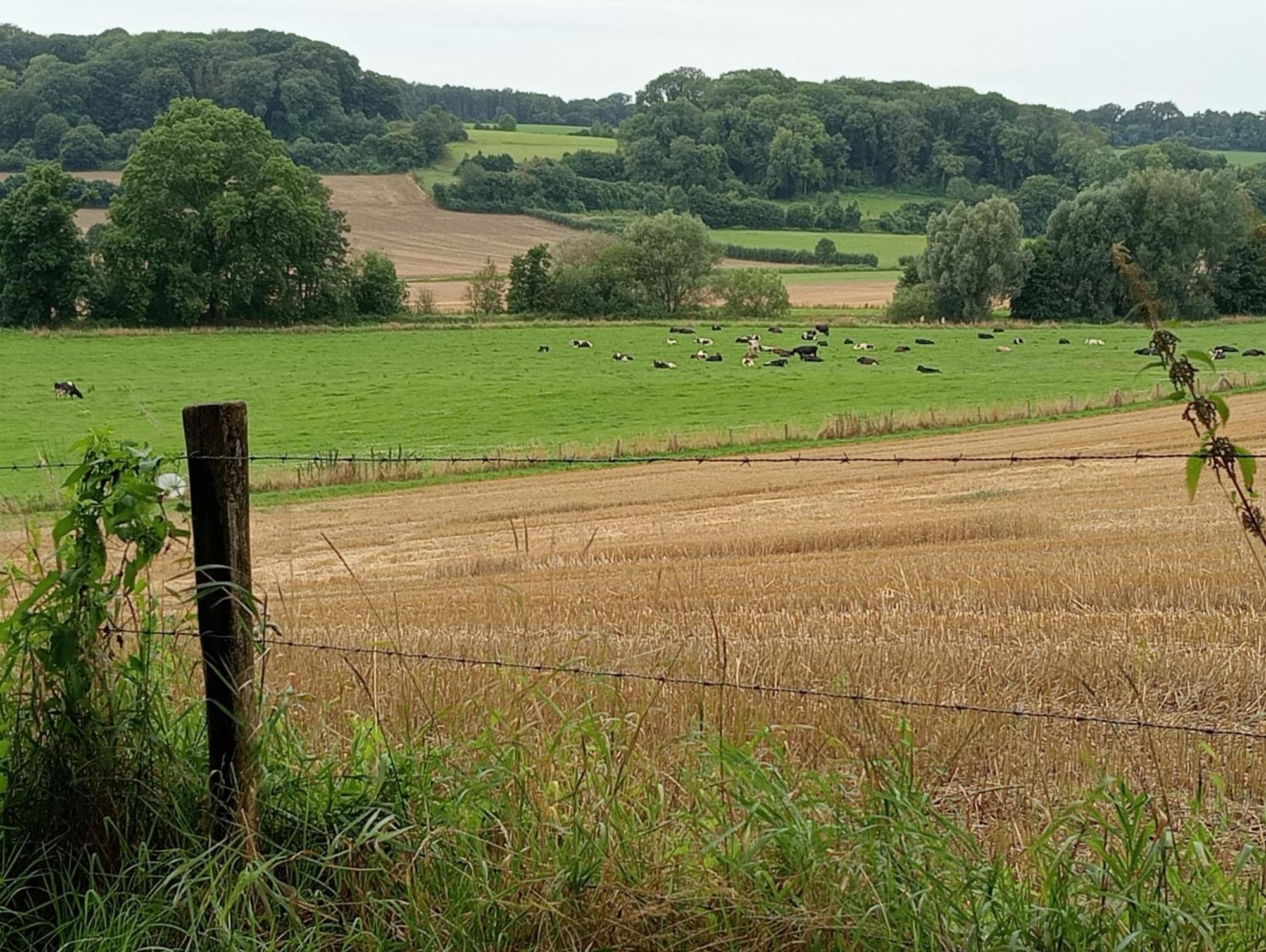 Bnb Het Geluk Van Limburg Мехелен Екстер'єр фото
