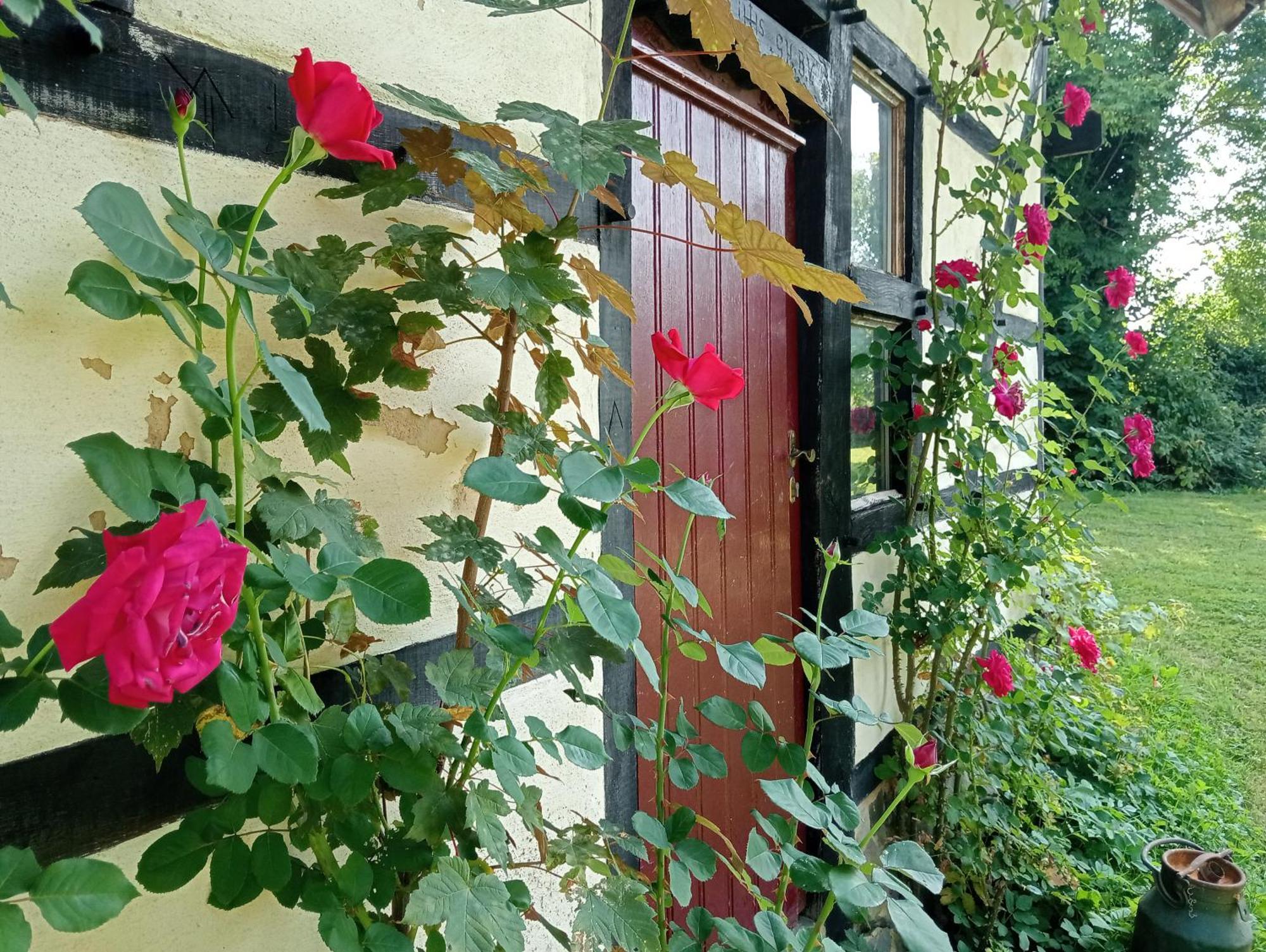 Bnb Het Geluk Van Limburg Мехелен Екстер'єр фото